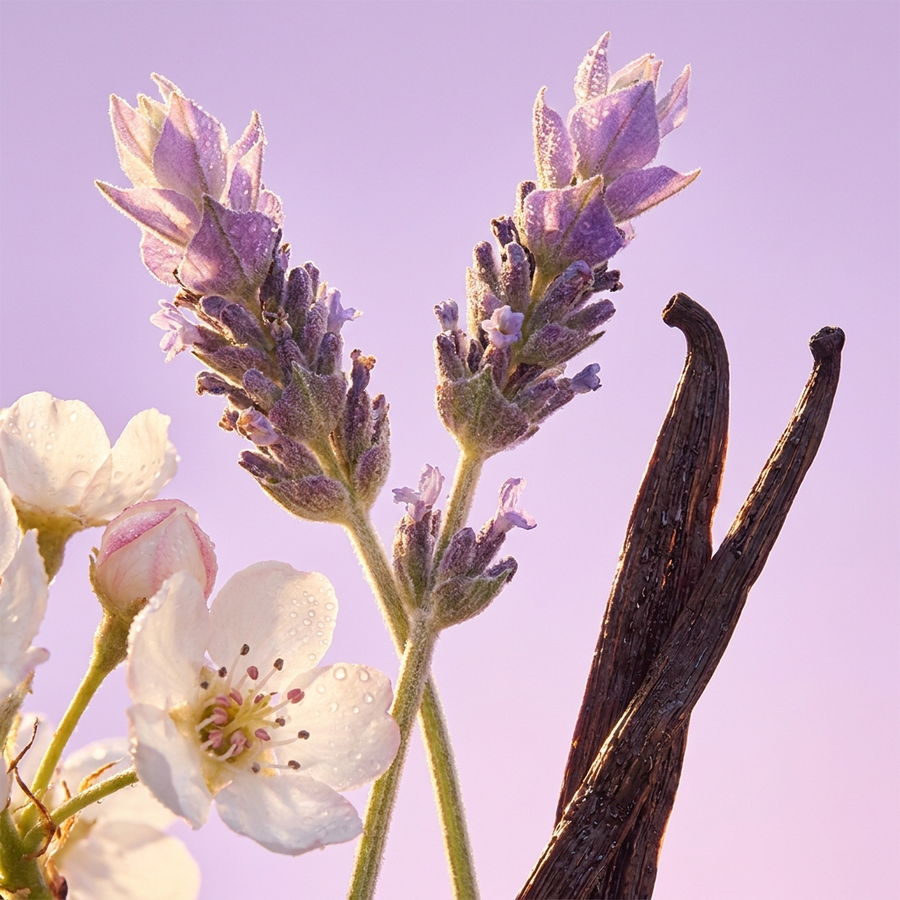 Lavender Dreams Natural Mop Soap